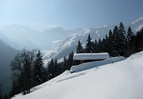 maiensäss pardatsch 3